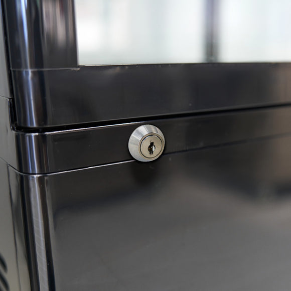 Vitrina refrigerata, 235 Litri, cu iluminare, H 170 cm, negru