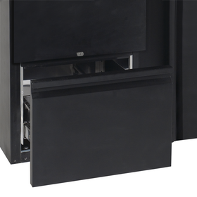 CBC210-Negru, 277 l, 2 la 10 C, 2 uși cu balama autoînchidere, Ventilat, 250 W, C Gama CBC reprezinta un sistem