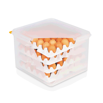 Cutie depozitare 120 oua, conform HACCP, 35.4x32.5x20 cm Cutia de depozitare pentru 120