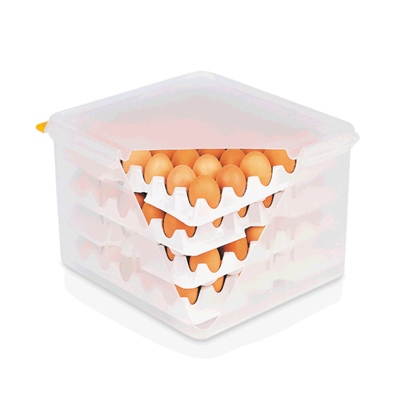 Cutie depozitare 120 oua, conform HACCP, 35.4x32.5x20 cm Cutia de depozitare pentru 120