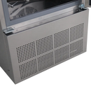 Racitor rapid / Abatitor pentru 10 tavi GN 1/1, comenzi touch screen, Temperatura -30  la +70°C, putere 0.9 kW-5