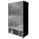 Vitrina frigorifica 2 usi 730L RICO i112 plafon publicitar superior iluminat