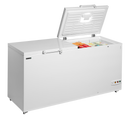 Lada de congelare Tefcold FR606 SL - imaginea 2