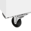 Lada de congelare Tefcold IC303SD - imaginea 3