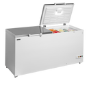 Lada de congelare Tefcold FR606S SL - imaginea 2