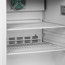 Congelator Tefcold UF200V - imaginea 3