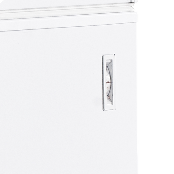 Lada de congelare Tefcold FR606S SL - imaginea 4