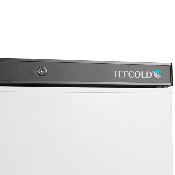 Congelator Tefcold UF200V - imaginea 4