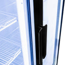 Vitrina frigorifica 2 usi 568L RICO i88 iluminare LED plafon superior publicitar iluminat