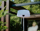 Sunred Artix alb langa o pergola, intr-o gradina